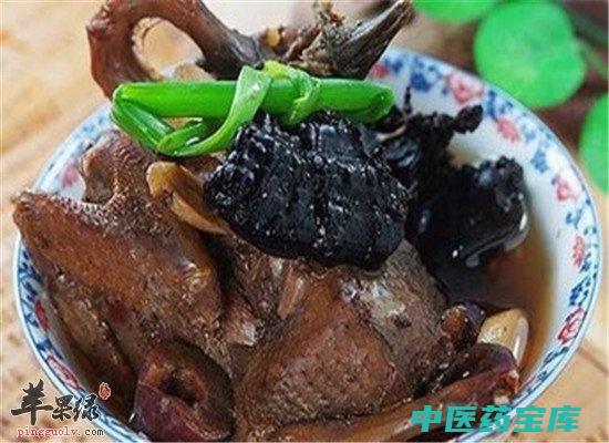 斑鸠功效