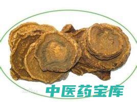 熟大黄的功效