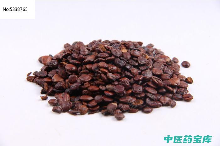 炒酸枣仁的功效与作用及禁忌
