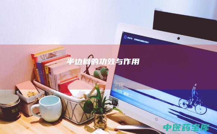 半边枫的与作用