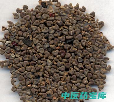 麻子