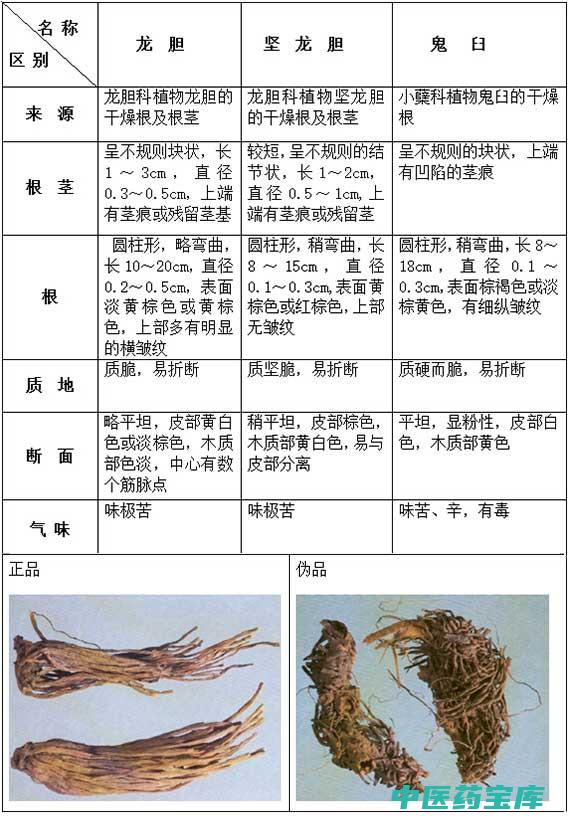 龙胆与作用