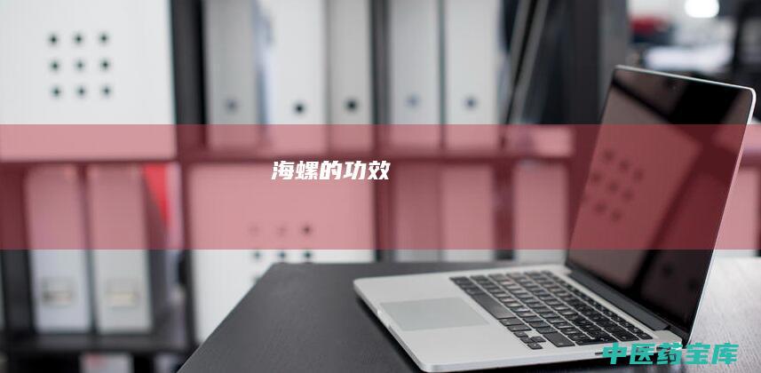 海螺的