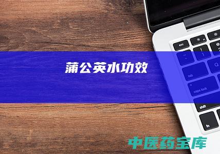 蒲公英水