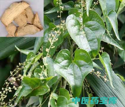 萆薢功效