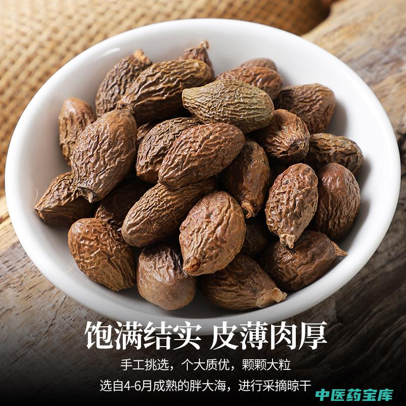 胖大海作用与功效