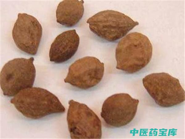 益智功效与作用