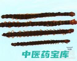 硼砂与作用