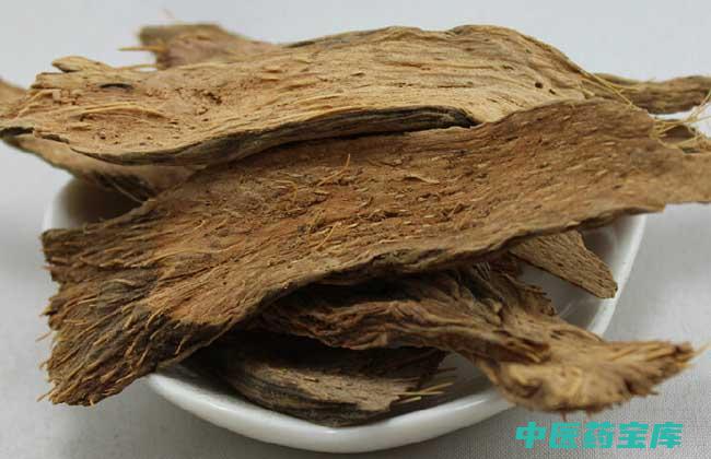 独活的作用与功效与作用