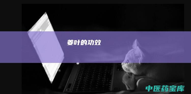 姜叶的