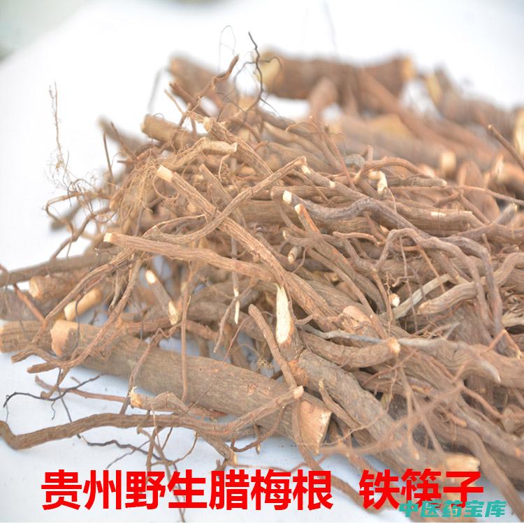 桑根的