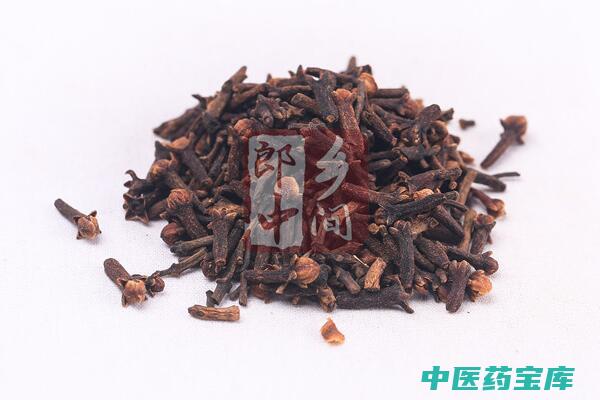 丁香作用及功效