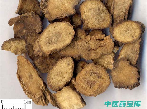 牛膝有什么