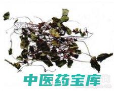 马鞭的功效与作用