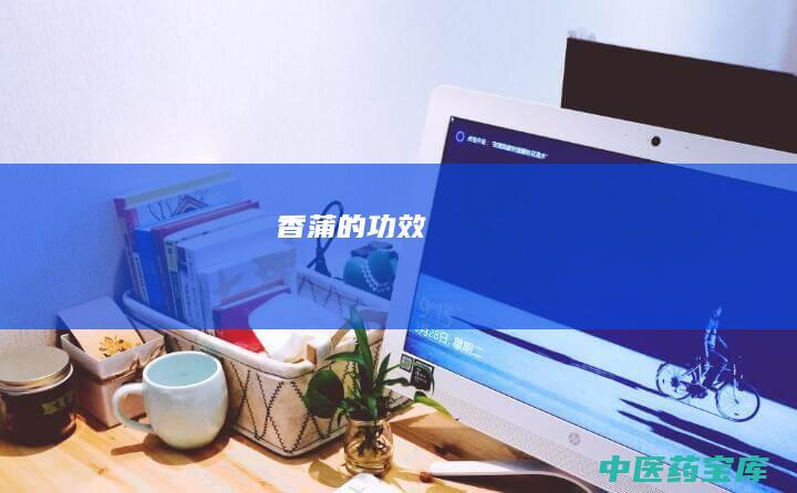 香蒲的功效