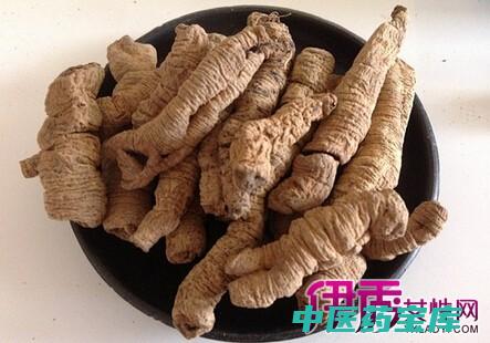 巴戟的作用与