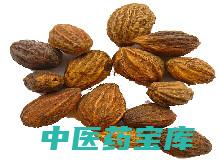 诃子与作用