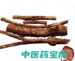 豆根的功效