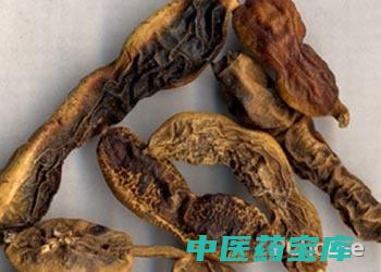 槐角功效与作用