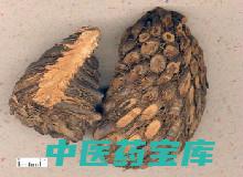 贯众功效