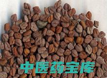 葫芦巴功效