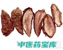 白蔹功效