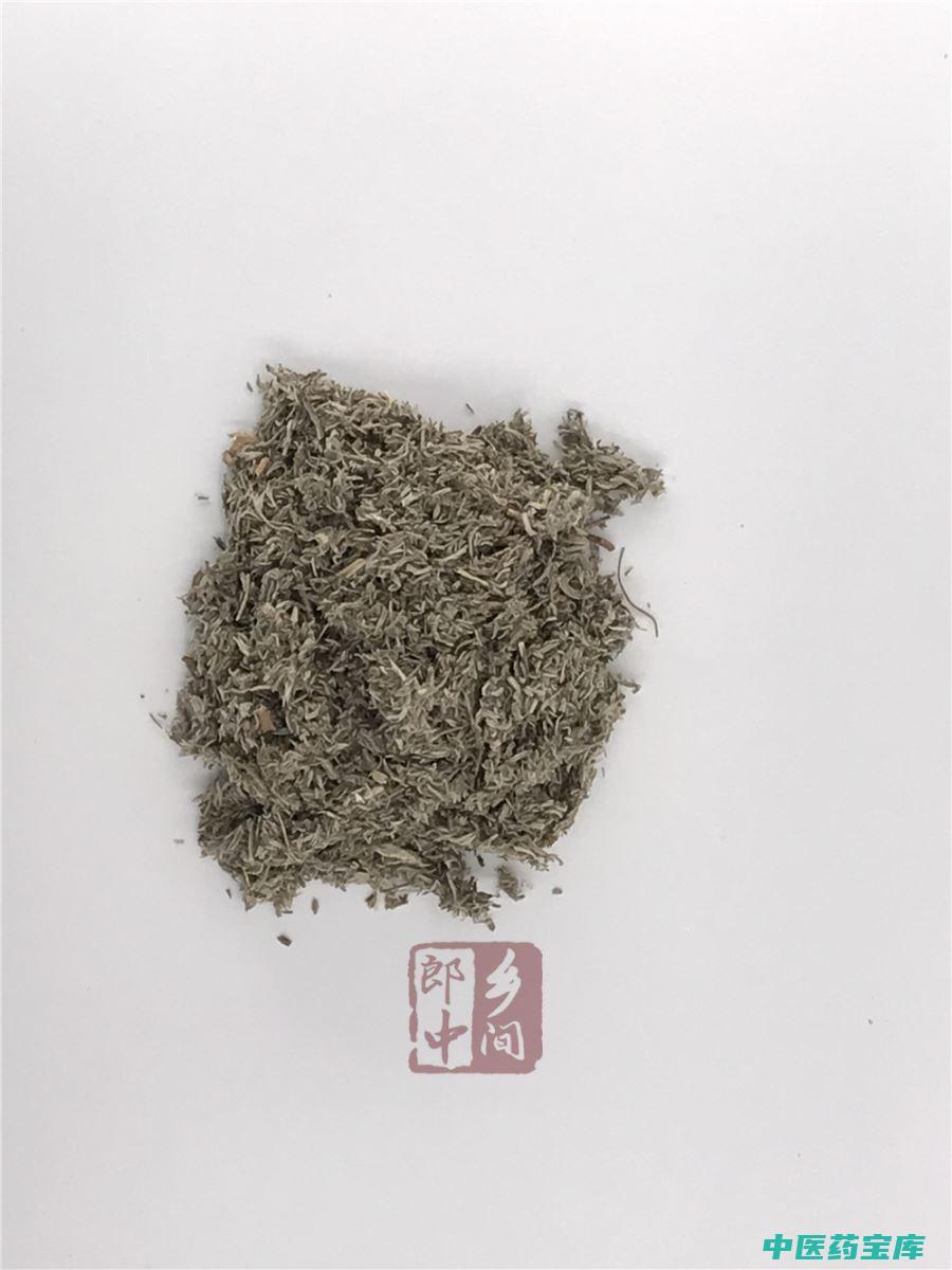 茵陈图片功效