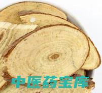 松节的