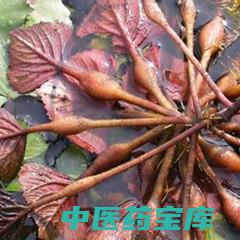 菱的与作用