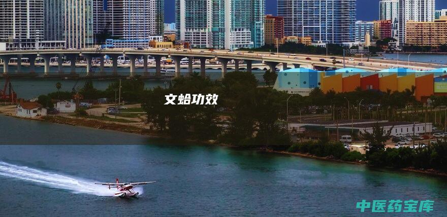 文蛤功效