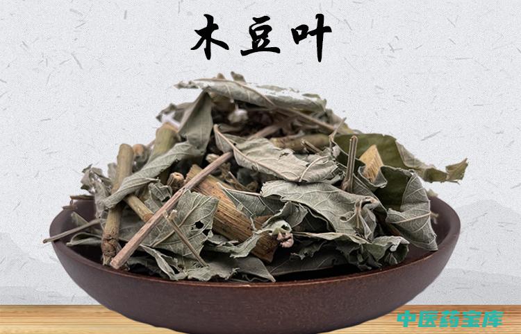 豆叶的