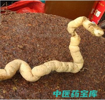 巴戟天的作用与与作用