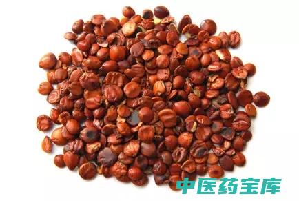 炒枣仁与作用