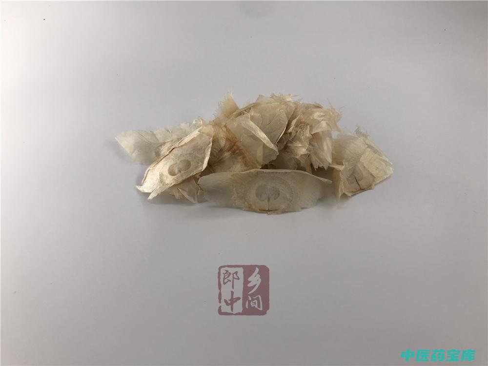 木蝴蝶功效与作用