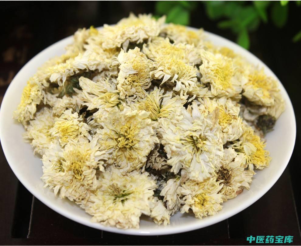 中药菊花的功效