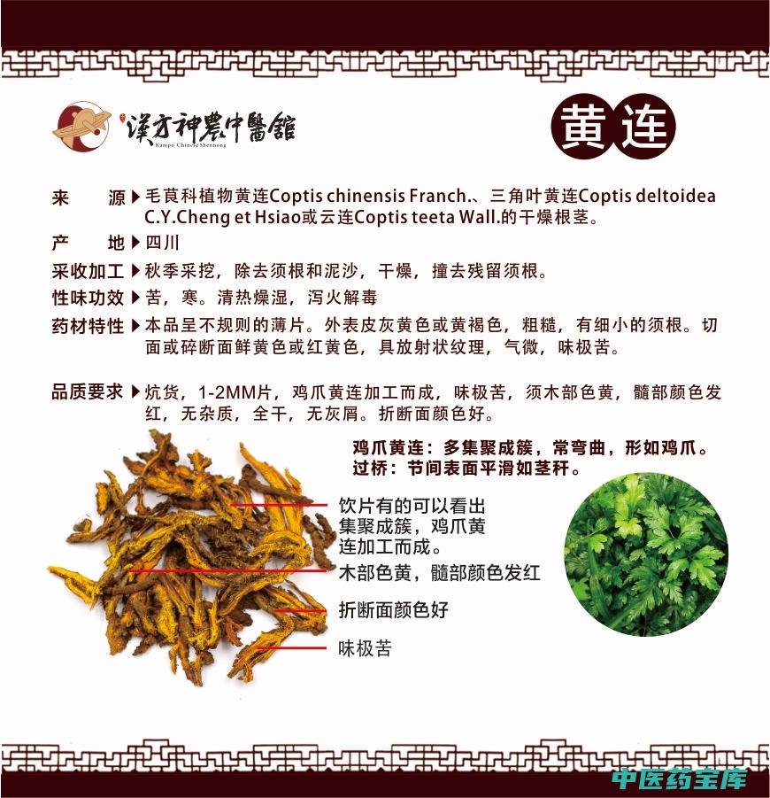 黄连粉