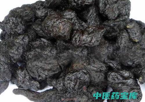 生地和熟地的功效