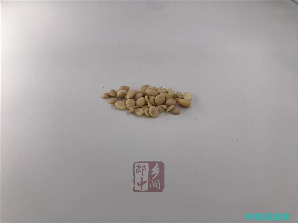 中药桃仁的功效