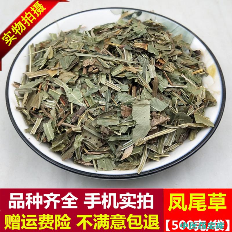 凤尾草与作用