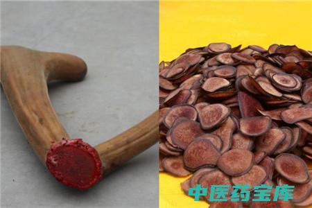 鹿耳的功效